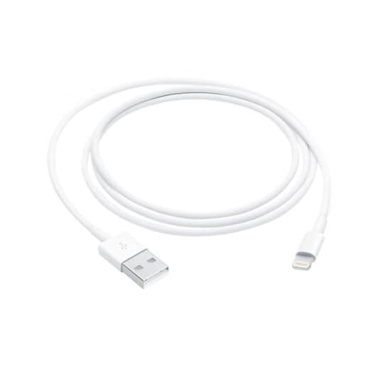 Cable APPLE  LIGHTNING USB C 1 metro