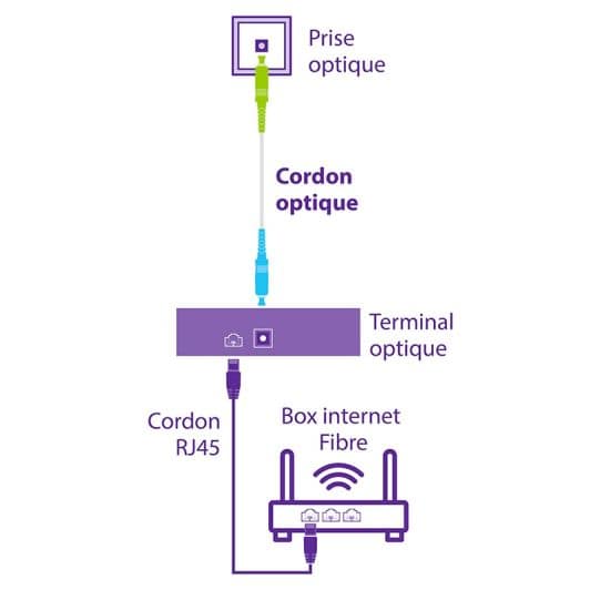 Cable de Fibra Óptica 3 metros 